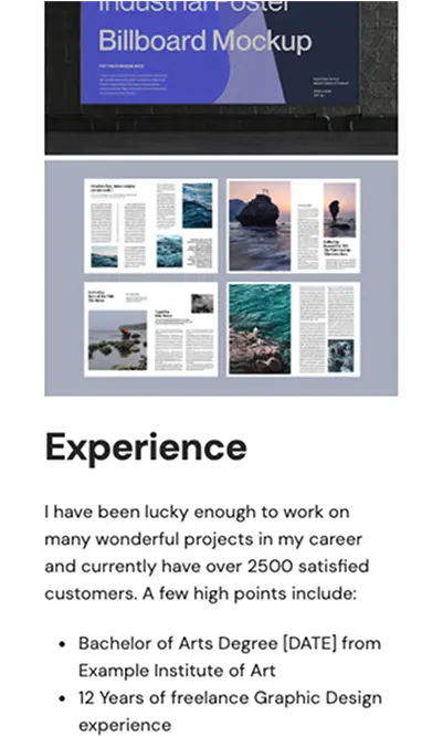 Better Proposals Template